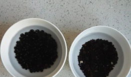 黑豆黑米黑芝麻豆浆机,三重营养，健康生活新选择