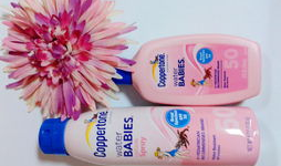 麻豆币,数字货币的崛起与未来展望